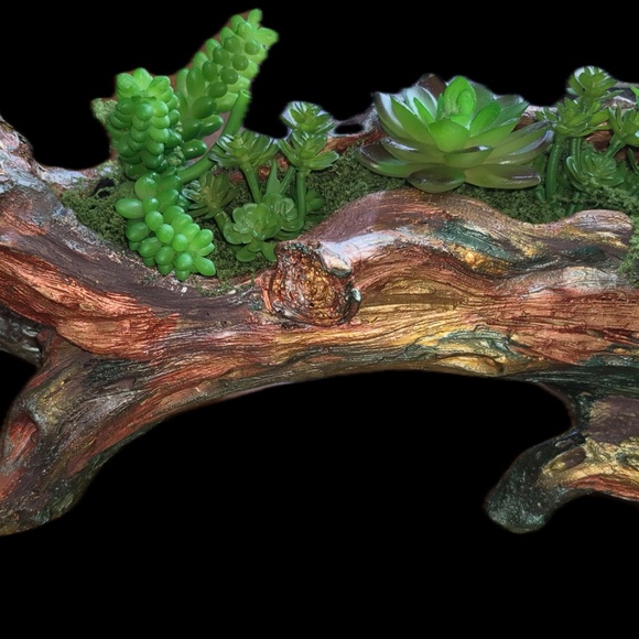 Driftwood and resin metallic painted with crystals, beads and succulents - Picture 7 of 15